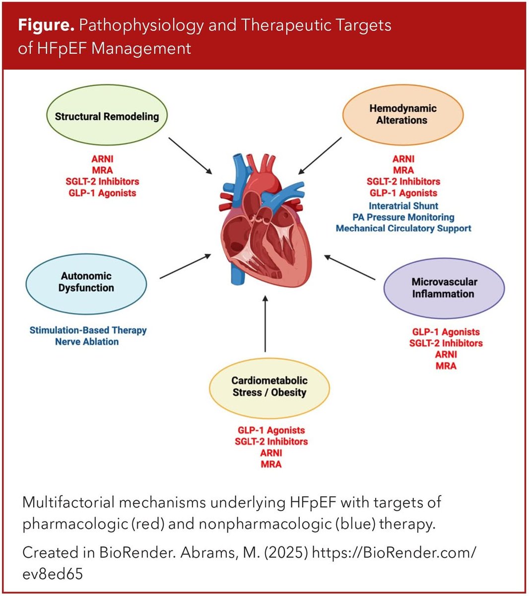 🔴Focus on Heart Failure | HFpEF: Where We Stand in 2025😍📝⤵️ #openaccess 

🔹acc.org/Latest-in-Card…
 #Cardiology #FOAMed #MedEd #medstudent #paramedic #Cardiology #CardioEd #medtwitter #meded #CardioTwitter #cardiotwiteros  #MedX #cardiovascular #MedTwitter #medical