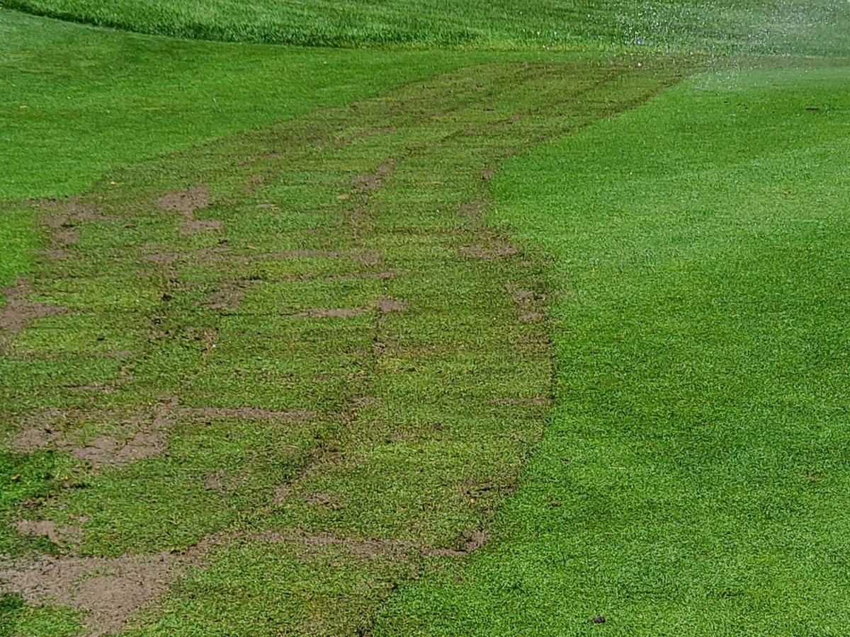 The crew is amazing! Big hydraulic leak on #16 approach about lunch time. An hour and a half later it's sodded and being watered!