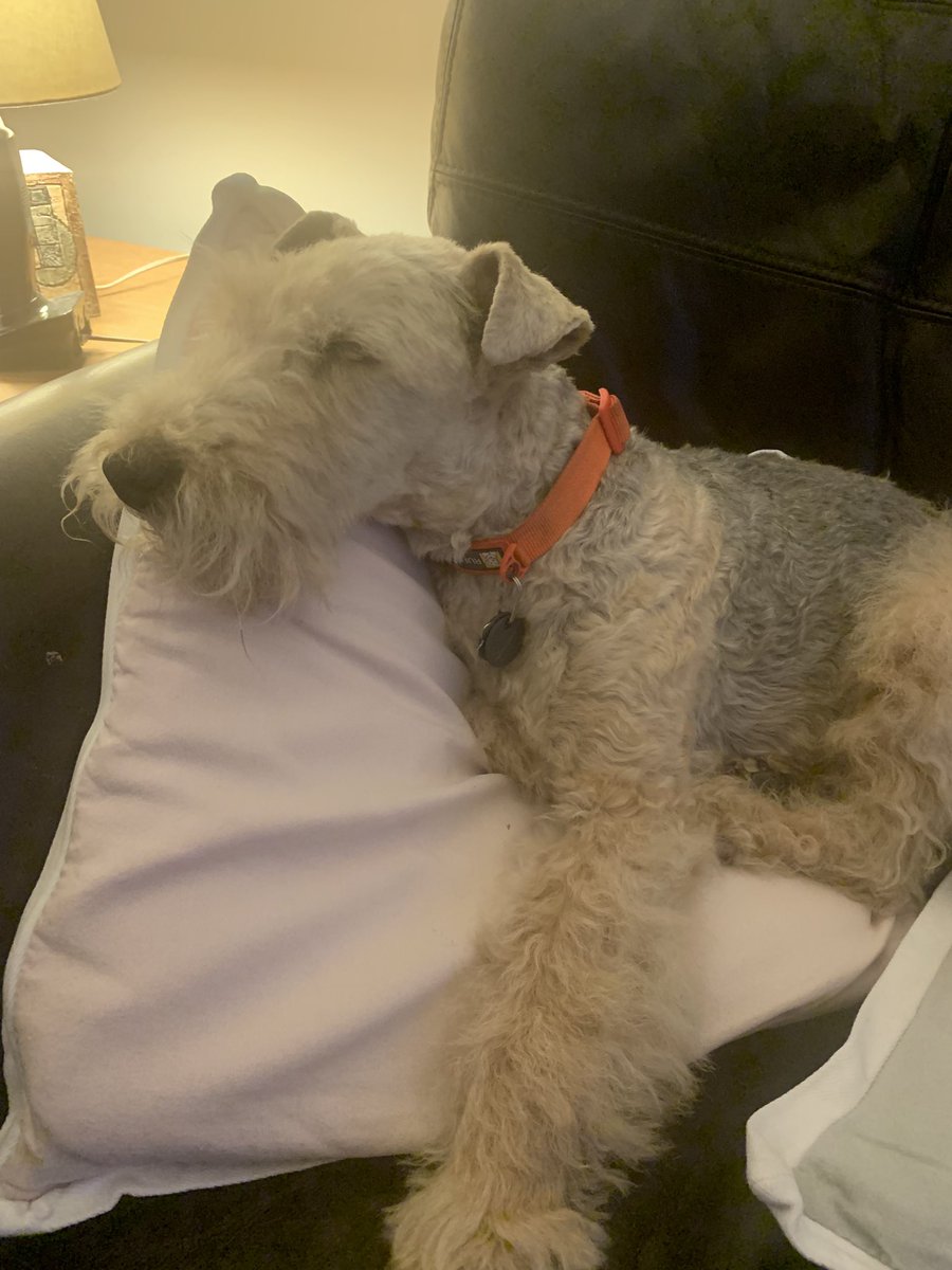 I know you normally sit here Mum, but I’m comfy and I’ve got a poorly eye 😞#NotMoving 😜💖