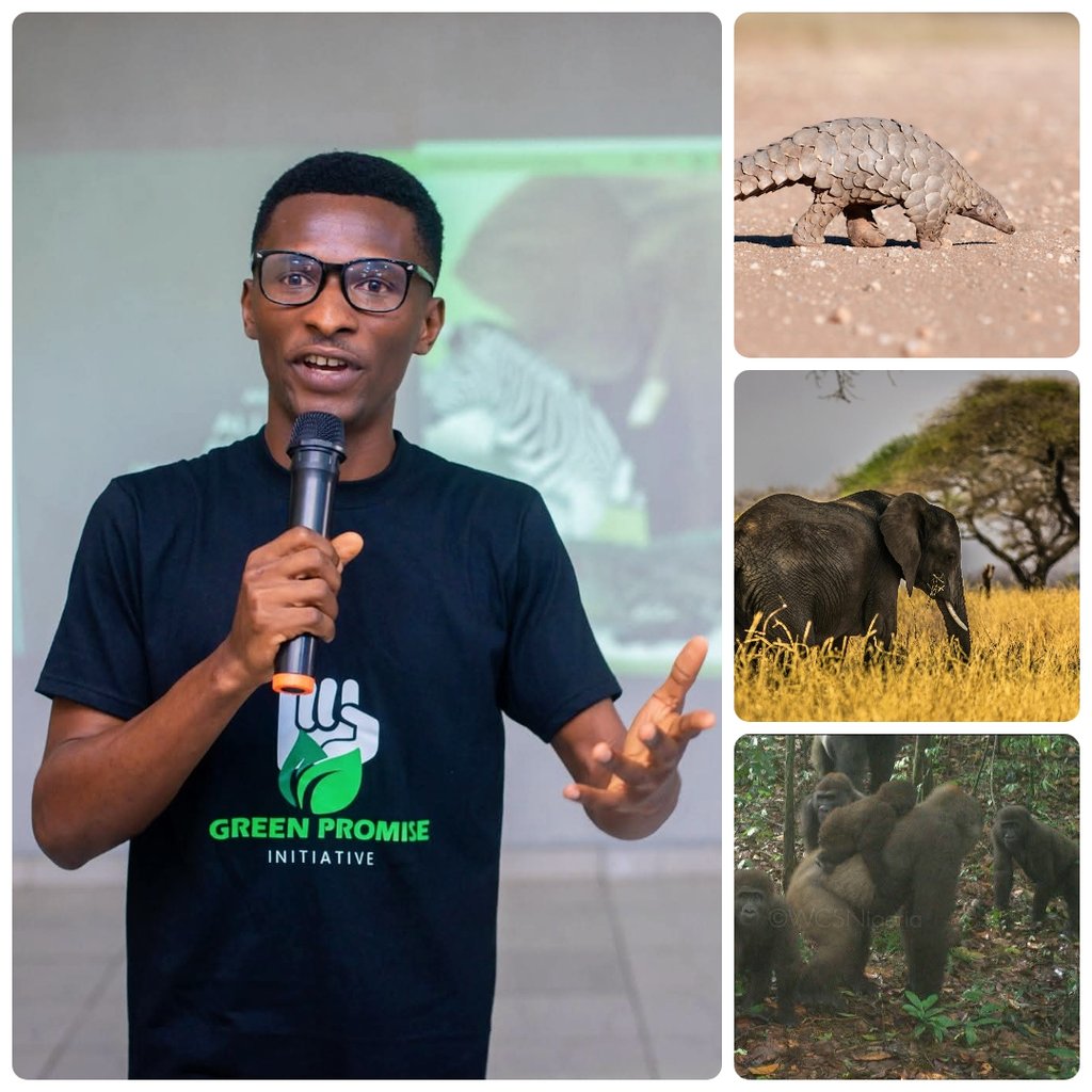 techieojo's tweet image. I&apos;m Ifeanyi - a tech enthusiast with a deep love for wildlife and nature.
From Cross River gorillas to forest elephants and global conservation, I share stories, eye-opening facts, and urgent issues from the wild.
#NatureMatters #WildlifeConservation #EcoVoice #ActForNature