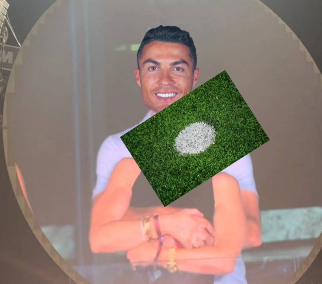 Such a beautiful pair ❤️❤️❤️