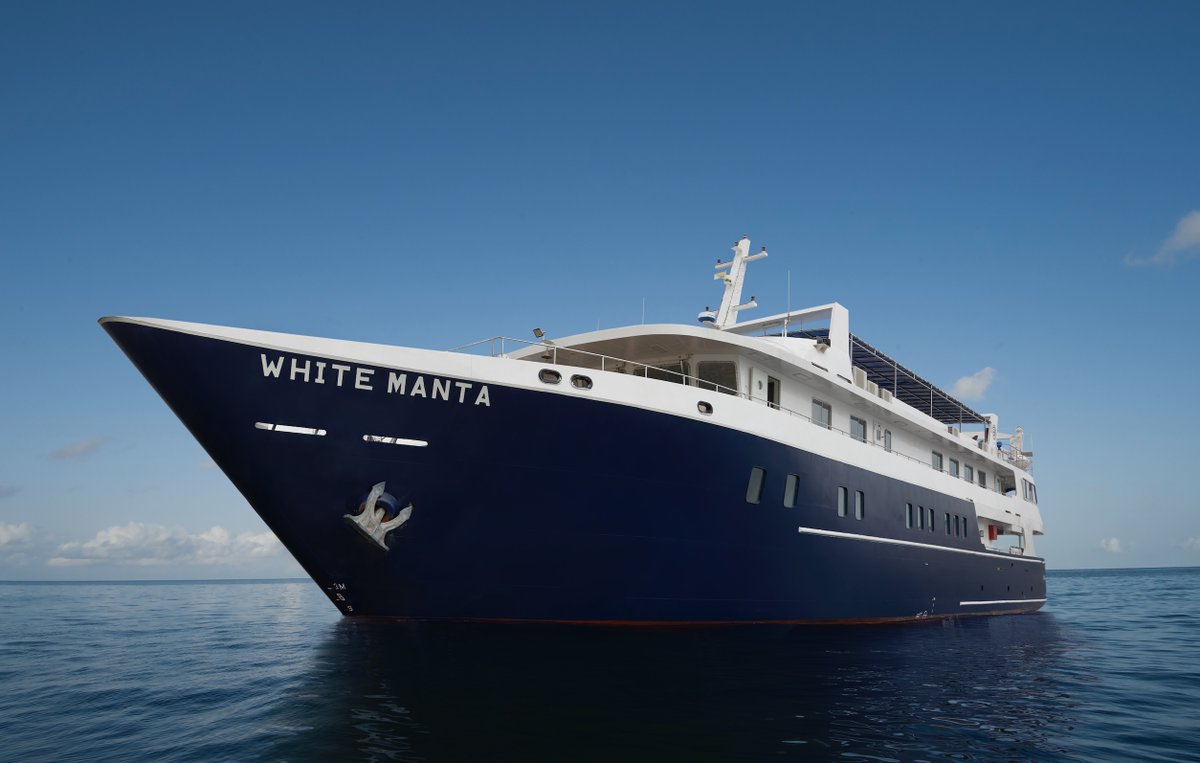 Got plans for Indonesia in 2025? 🌊 Book early &amp; save 10% on Blue/White Manta Explorer trips (Sep–Nov, 8–11 days, 18–28 dives). New individual bookings only. Offer ends Aug 31, 2025—so dive in! 🔗 explorerventures.com/discounts-and-… #DiveIndonesia #EarlyBird