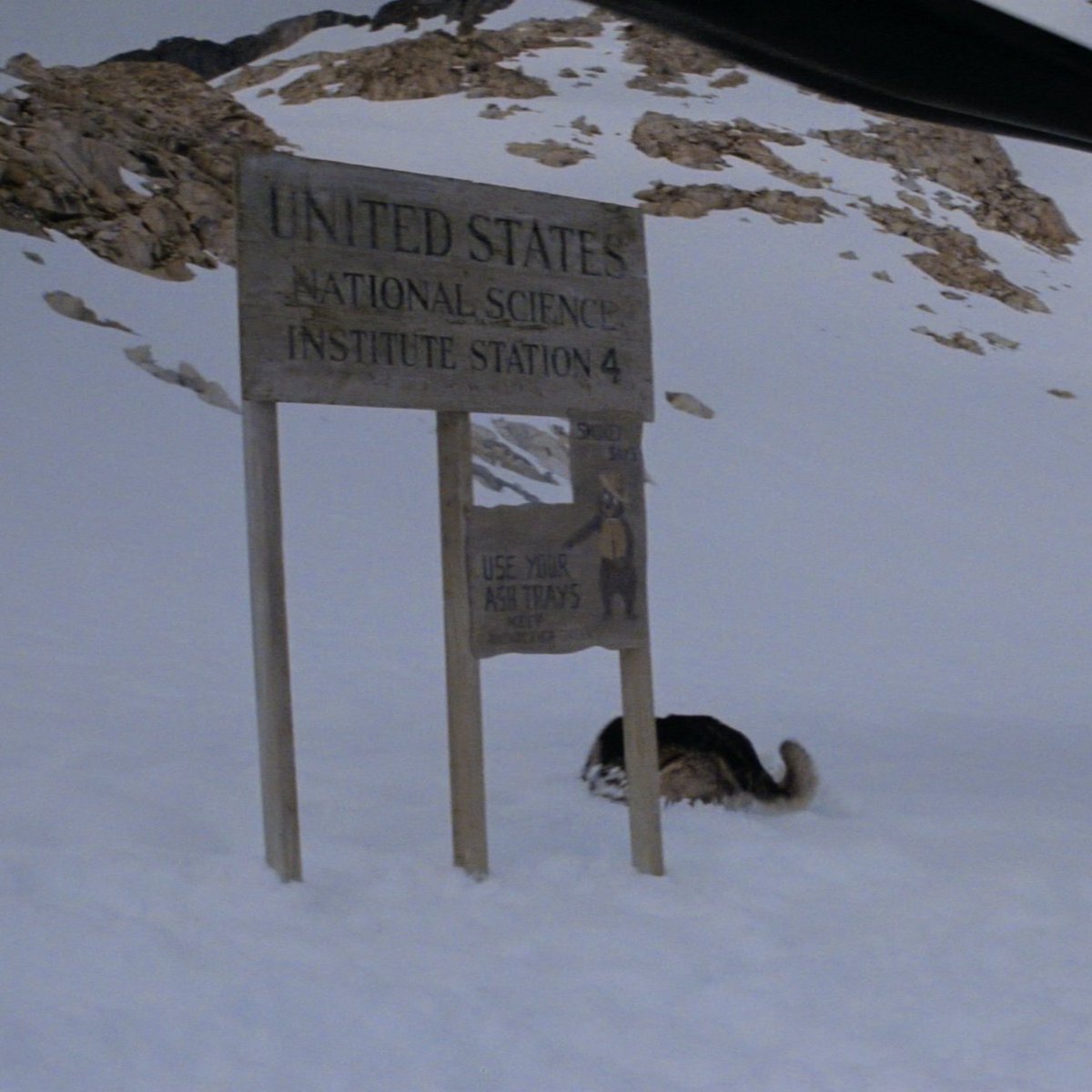 thingexpanded's tweet image. How long did it take you to notice the message from Smokey Bear at the entrance to Outpost 31? #UseYourAshtrays