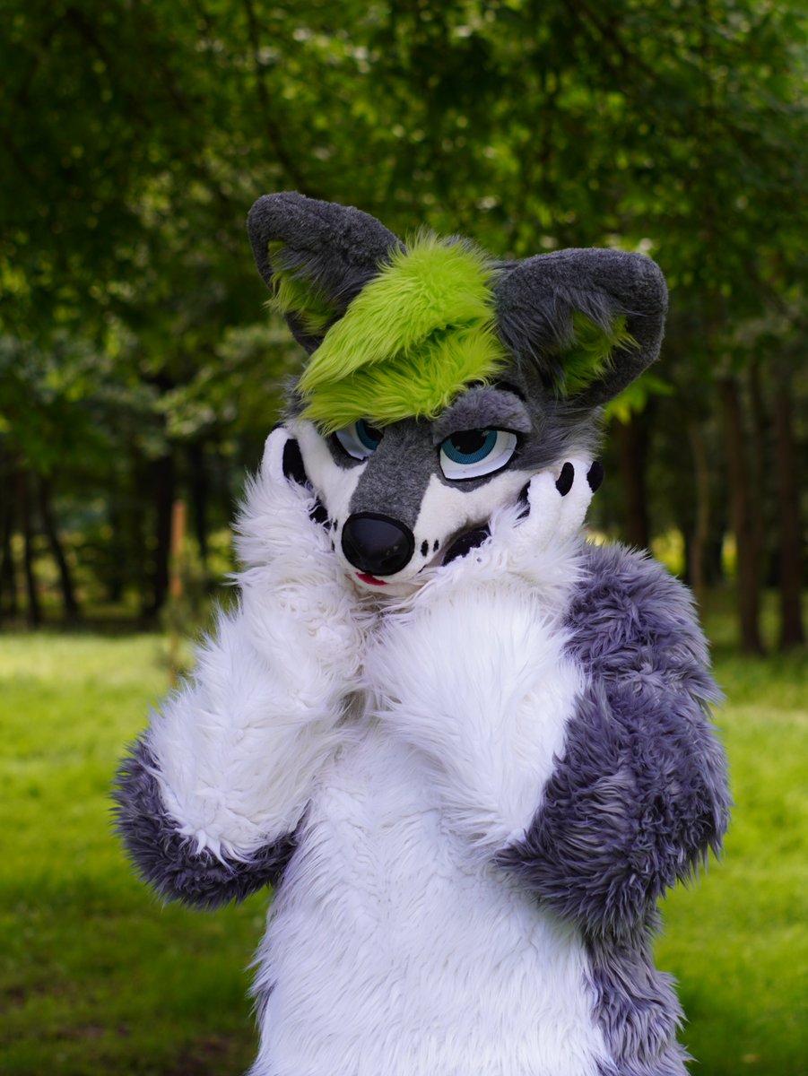 What did he react to like that?
Photo: <a href="/mike_wolf_furry/">mike_furry</a> 
#FursuitFriday