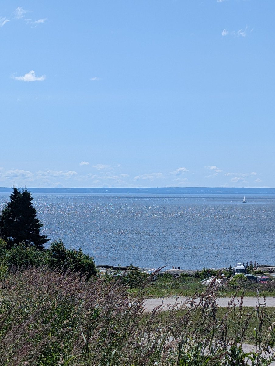 AlexArch_author's tweet image. This is my home for the next few days. 🥰 

(Yes, we can see whales from our spot!)