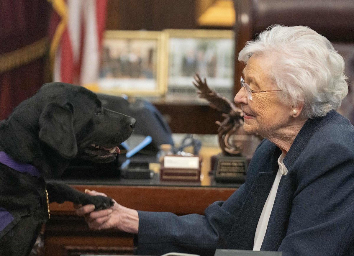 GovernorKayIvey's tweet image. Friday roundup! Busy week for Alabama!
🥾Deployed more task forces to Texas!
🐶Gave oath to Trooper Dog Vaquito!
🤖Visited students at STEM Camp!
🏥Swore in AMA Commissioner Offord!
🛣️Announced Rebuild Alabama projects!
#alpolitics