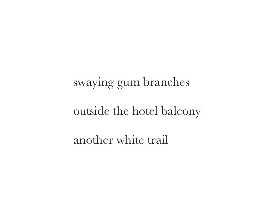 FreshoutMag's tweet image. #haiku by Tuyet Van Do, of Melbourne Australia. Tuyet’s #poetry has been widely published in various journals & was nominated for a Touchstone Award for Individual Poems in 2022. #white #summer #hotel #micropoetry #haiku #poetrycommunity #poetrylovers #Australia #Melbourne