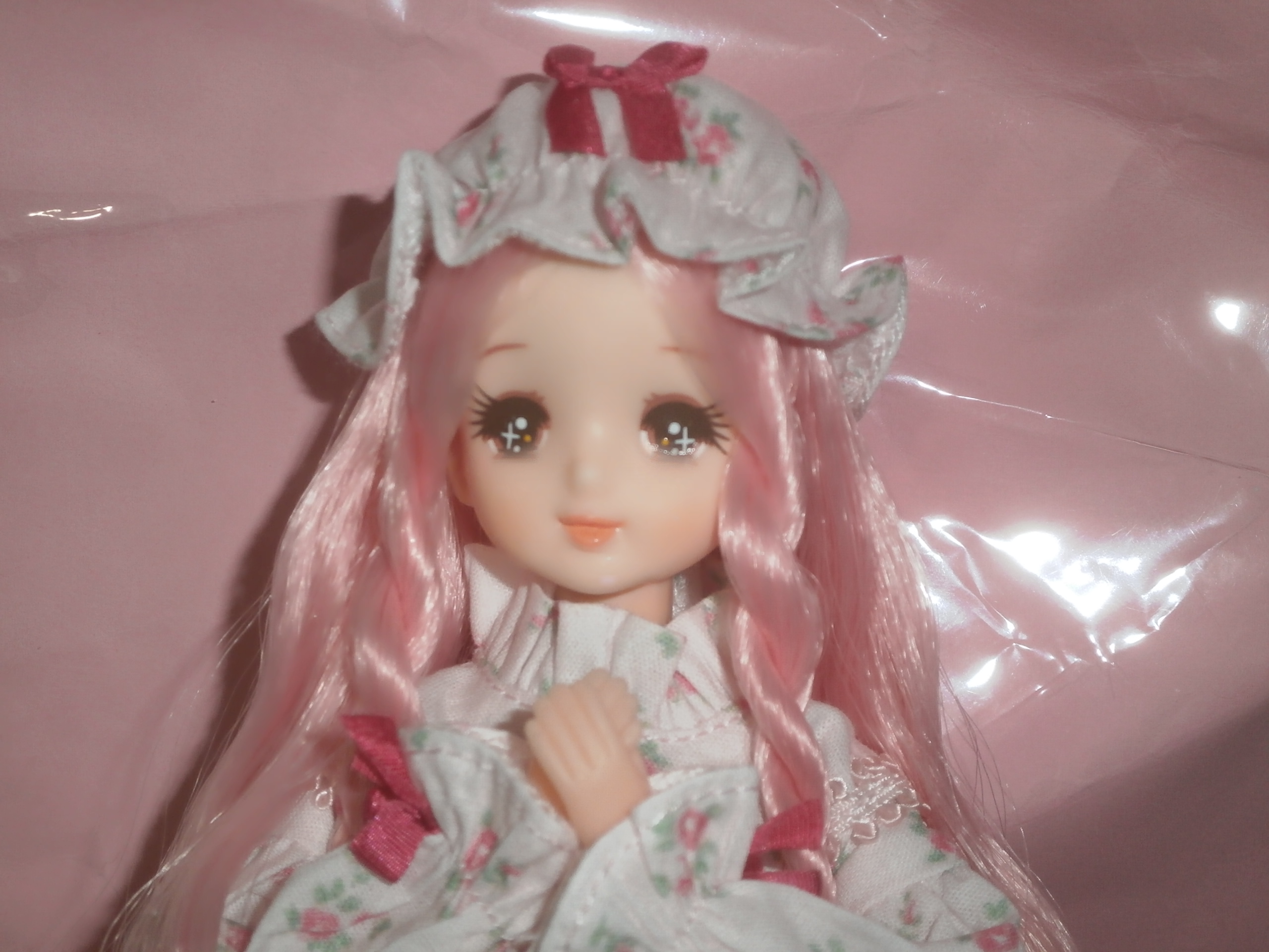 神戸のともちゃん様⭐︎オーダー作品⭐︎ グレート ジ・オーガship5+4 on X: 