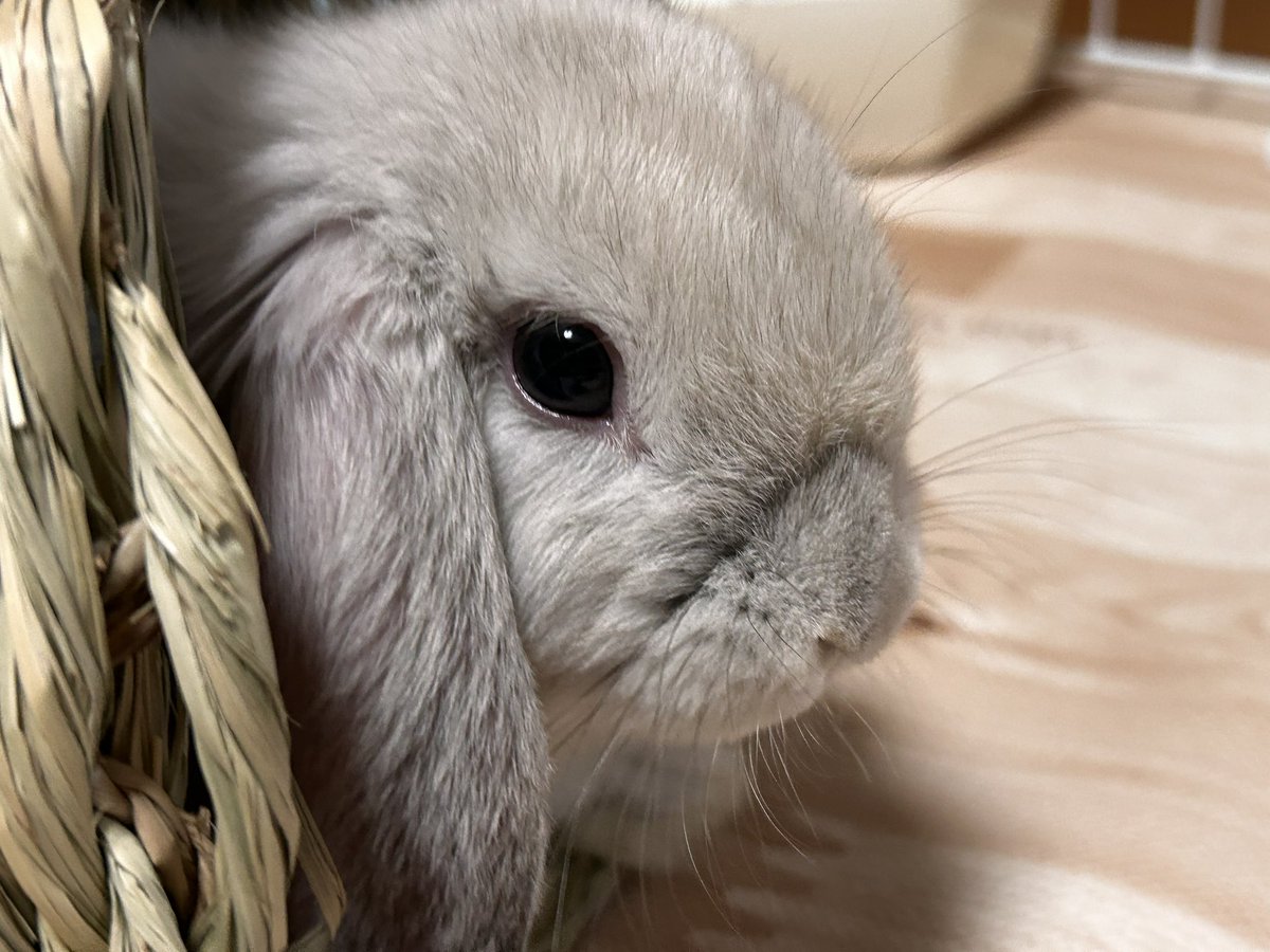 いーちゃん いーちゃん専用 いーちゃん スリクソン ZXi（ゼットエックスアイ