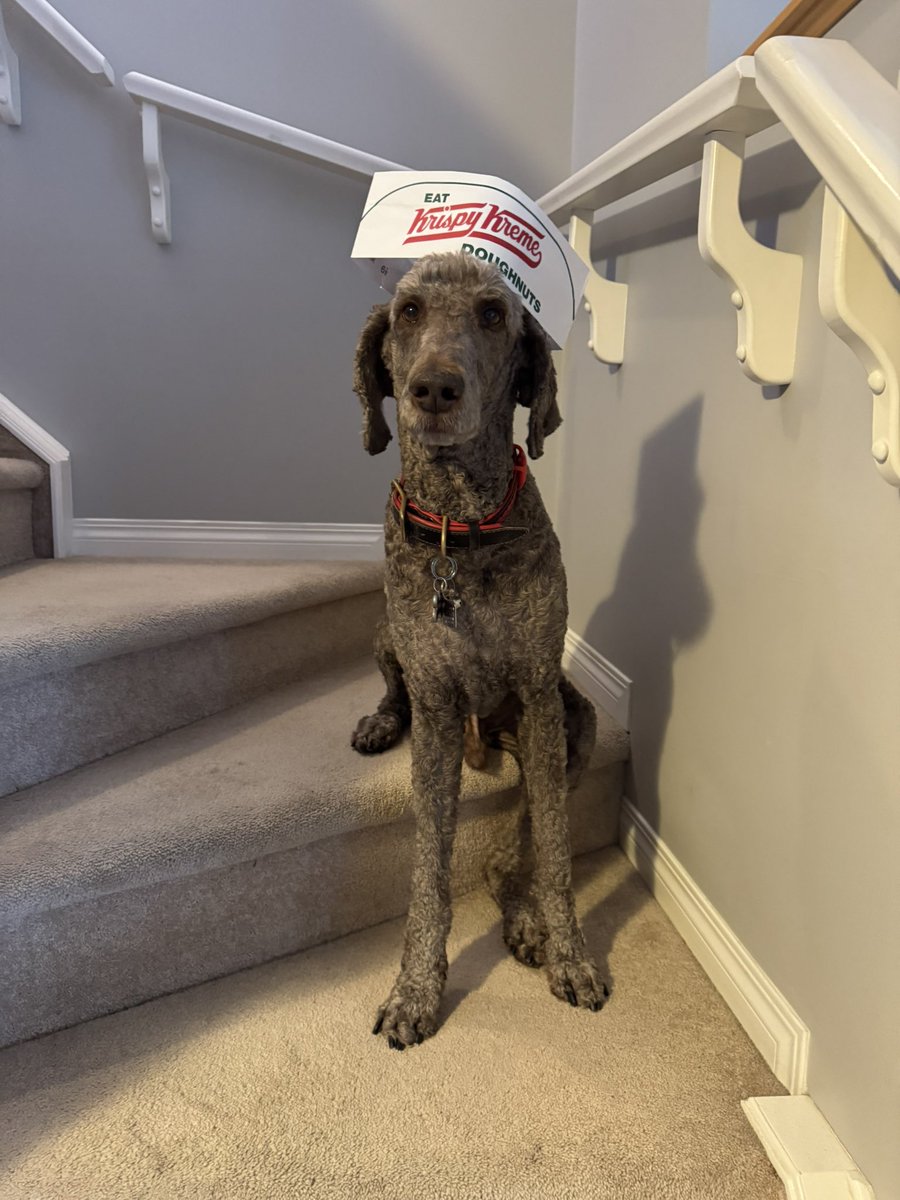 Ryan_the_Spoo's tweet image. Happy birthday to @krispykreme today. $0.88 a dozen donuts!! Yes, I’m happy! 🤣