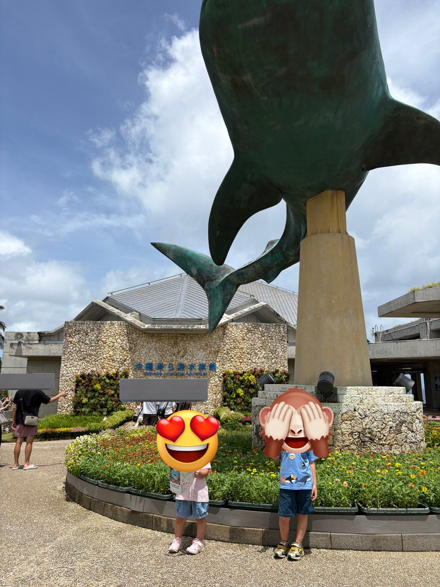 kakeru_index's tweet image. 沖縄旅行2日目✈️

快晴で助かった🥹