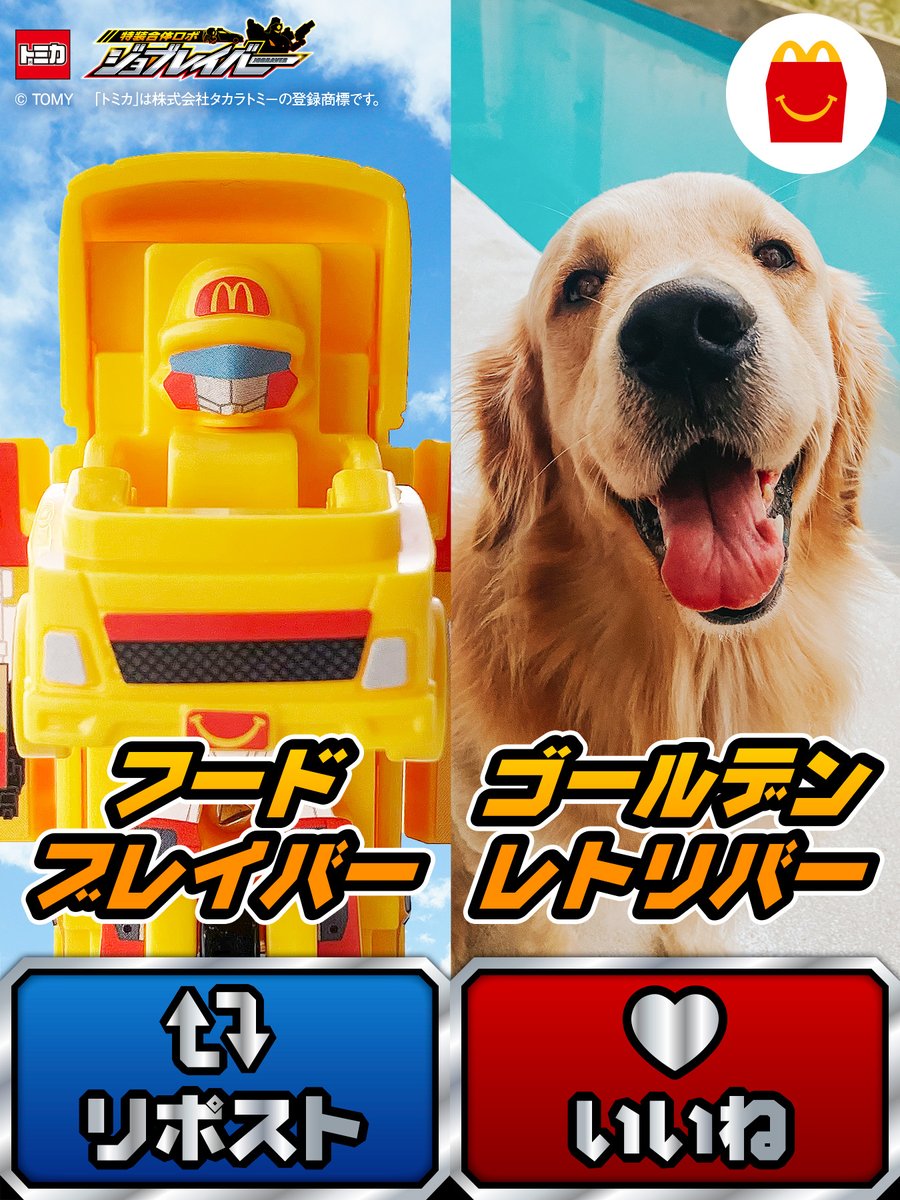 この夏、いっしょに遊びたいのはどっち？