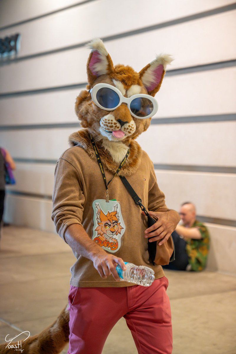 Quincy_Qat's tweet image. Anotha #AC2025 Drop for #FursuitFriday