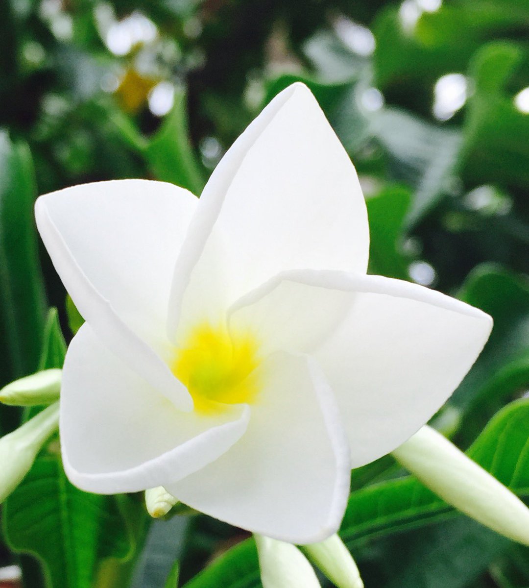 Collabor8tor's tweet image. 