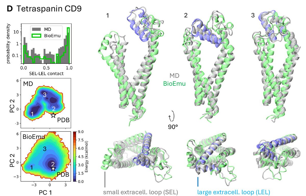 In a new Science study, researchers present BioEmu—a new #AI model that rapidly and accurately predicts the full range of shapes a protein can adopt, offering a faster, cheaper alternative to traditional molecular simulations. 

Learn more: scim.ag/3TIilTI