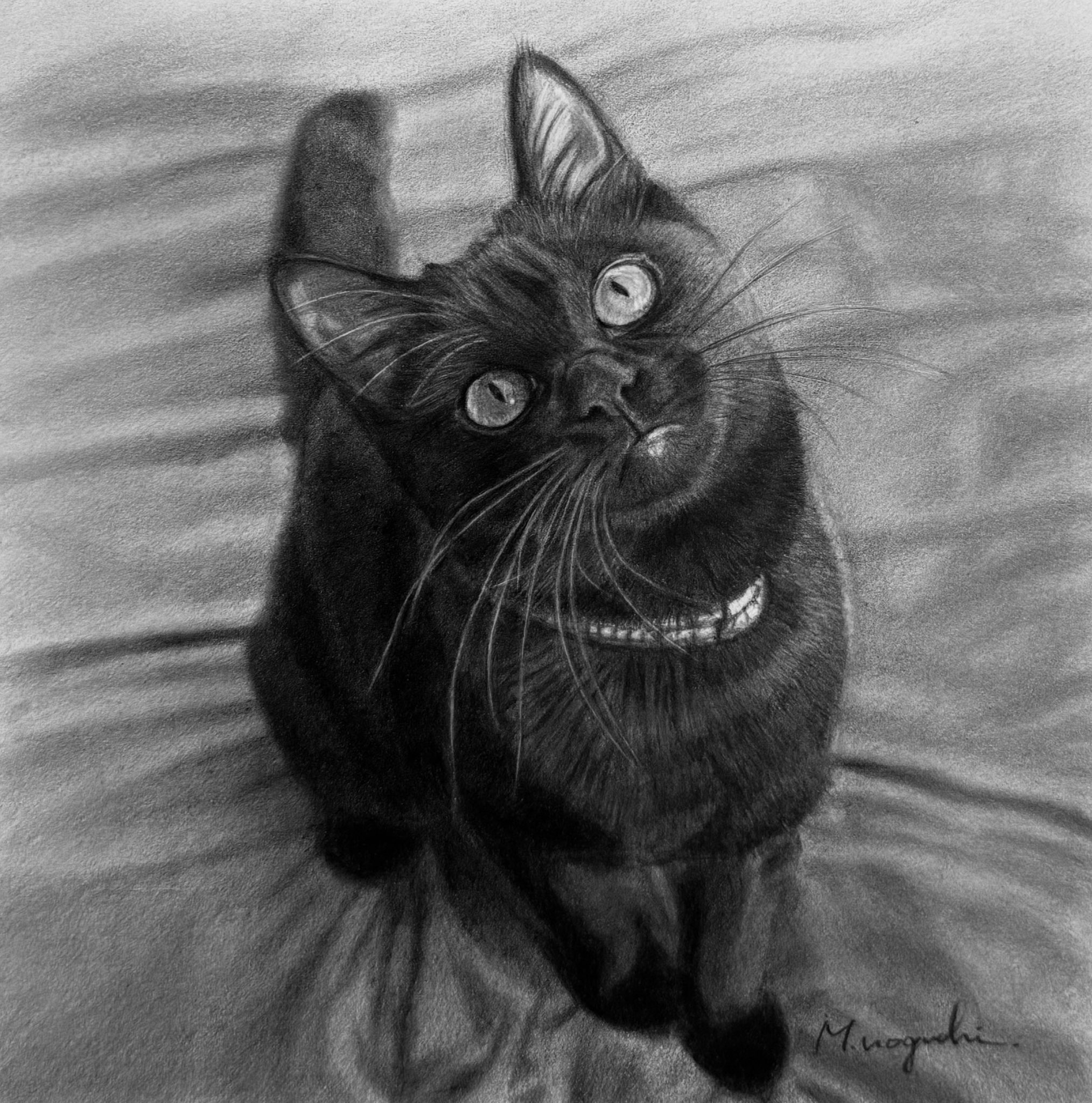 猫 鉛筆画 猫の鉛筆画 2025.04.04 | ミケパンチ / mikepunch