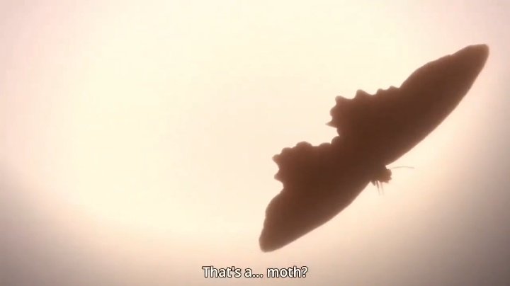 DailyMothra's tweet image. Today's Daily Mothra! 🦋
🎥 "Godzilla: The Planet Eater" (2018)