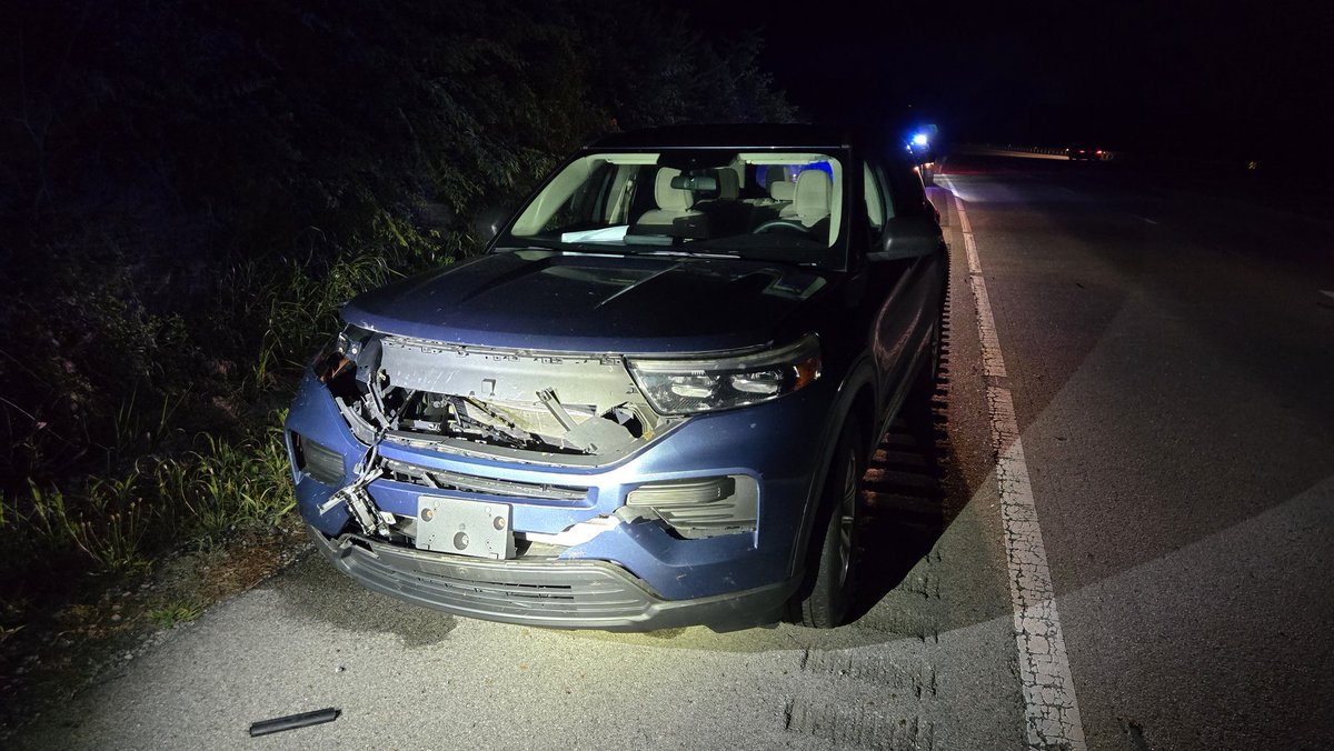 LHBCrypto's tweet image. Date night ended with a bang as I totaled my car hitting a deer (everyone's ok)