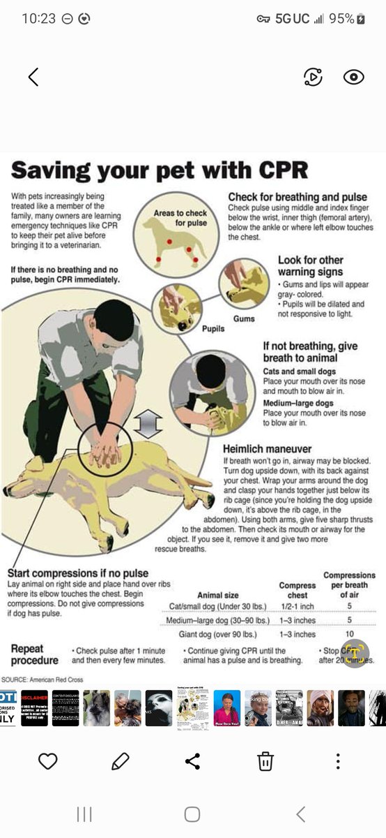 To all the dog lovers out there... download, save, and share... when minutes count you'll have it