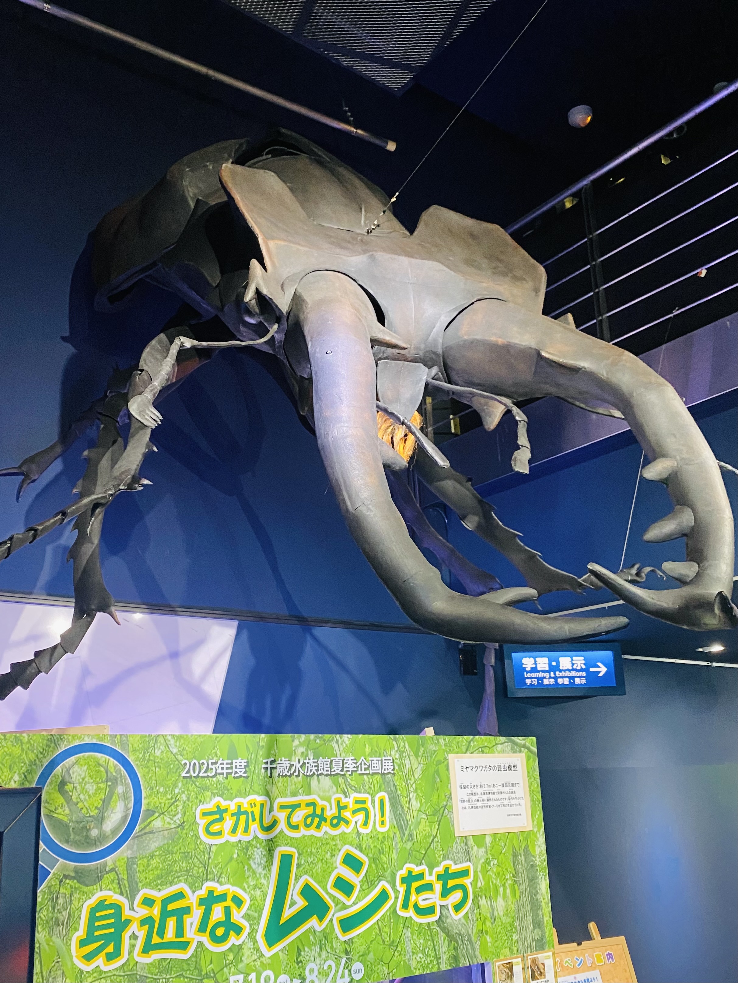 虹色　メタプラ　北海道　遠別　2025.5 採取 地震・大気汚染bot on X: 
