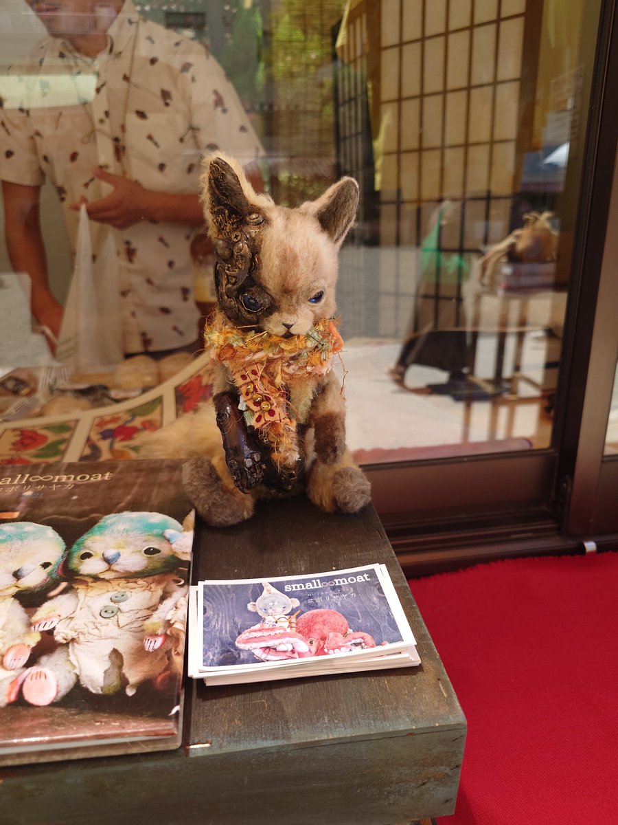Sayaka Kobori(コボリサヤカ)◇個展8月21日～LUPOPOカフェ