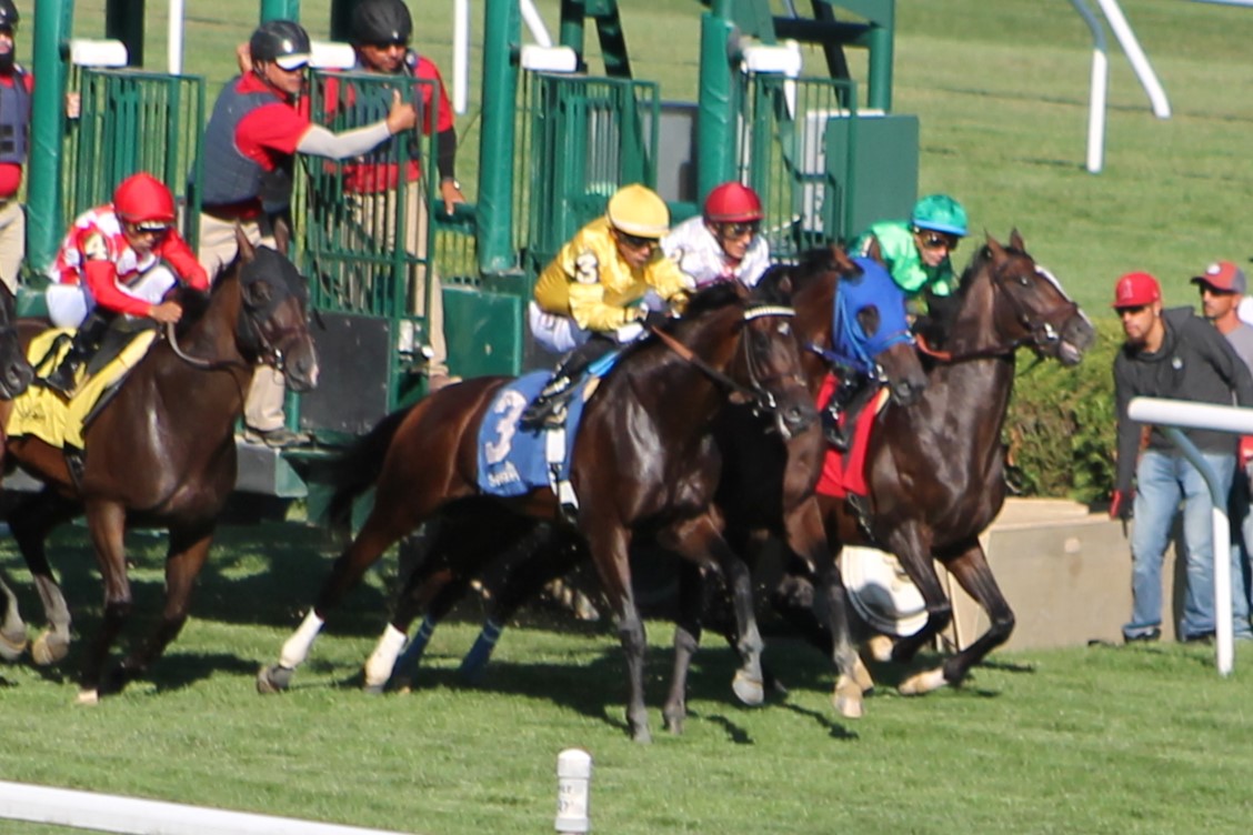 ClaiborneBlood's tweet photo. 💛WINNER! @ClaiborneFarm &amp; Adele Dilschneider's homebred 3-year-old Kitten's Joy colt SIMULATE wins an allowance optional claimer going 1¹⁄₁₆ mi. on the turf at #Saratoga.  Great job and congrats to #BillMott &amp; @JuniorandKellyA! 📸@bjbrooksNY https://t.co/pIuEsMNYFX