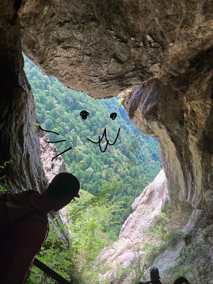 白と黒のネコ tweet media