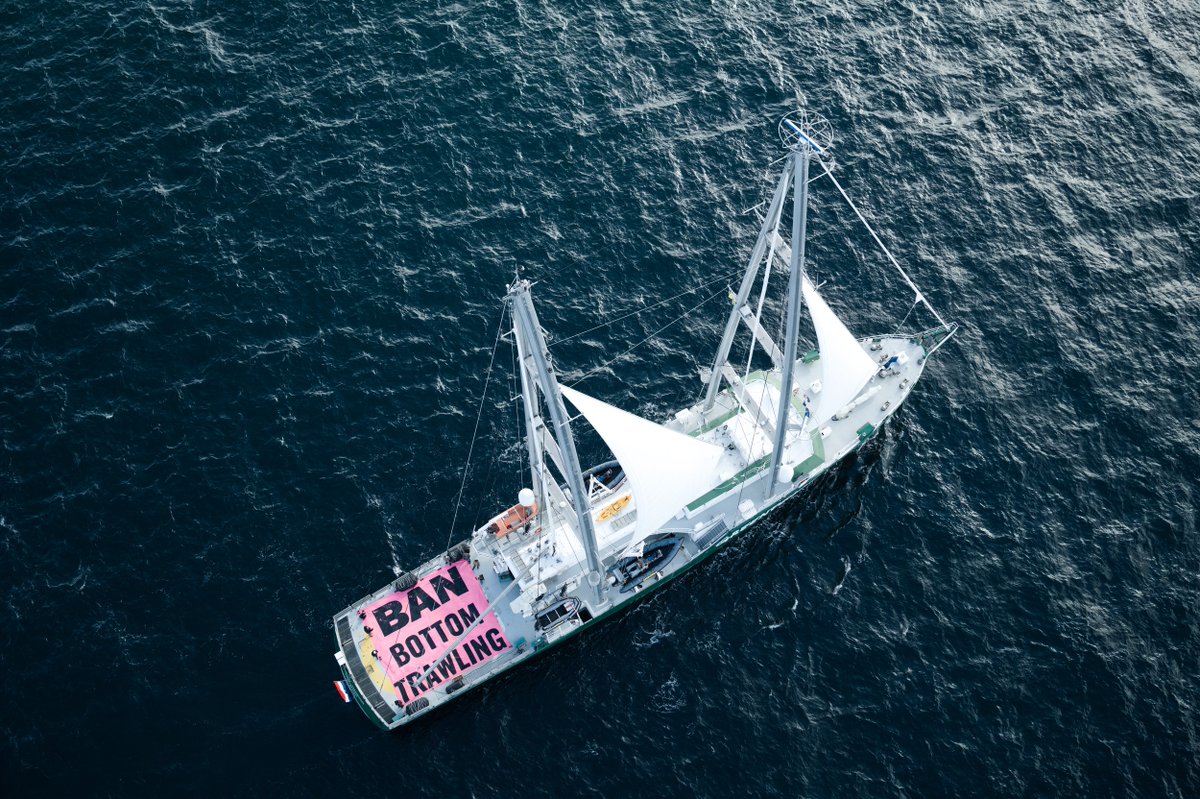 Forest_and_Bird's tweet image. 🌊 “It’s the trawling that’s turned thriving [ocean] ecosystems into lifeless mud.” – Bianca Ranson, Forest &amp;amp; Bird.

Forest &amp;amp; Bird is standing with the Hauraki Gulf Alliance @LegaSea_NZ @GreenpeaceNZ on the deck of the Rainbow Warrior, calling for a complete ban on bottom…