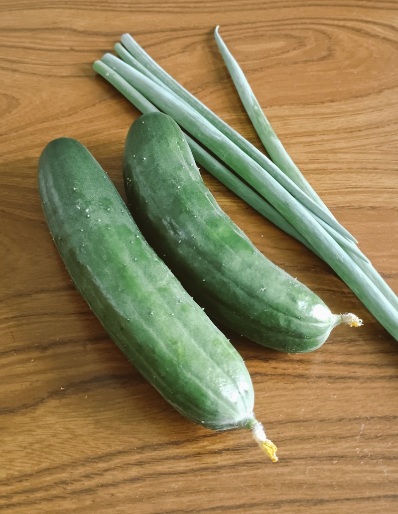 shinonome_rx7's tweet image. 今日の収穫！キュウリでかい