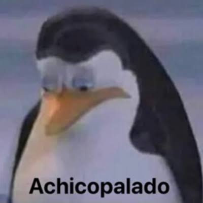 Floopywww_Chan's tweet image. Extraรฑo Hacer un space, la verdad si me divertรญa demasiado hablando con la gente de aquรญ y ahora que ya no tengo telรฉfono propio no voy a volver a abrir o entrar a un space hasta nuevo aviso .
MENCiON HONORรFICA: elmarck y el Jeremy jajajsjdjd esos kbrones me hacรญan el dรญa