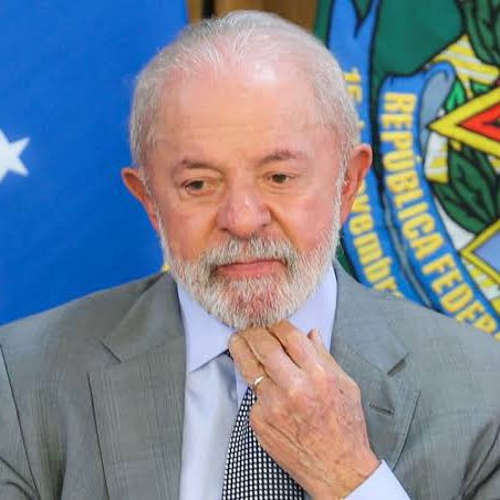 Chequei Ancap tweet media