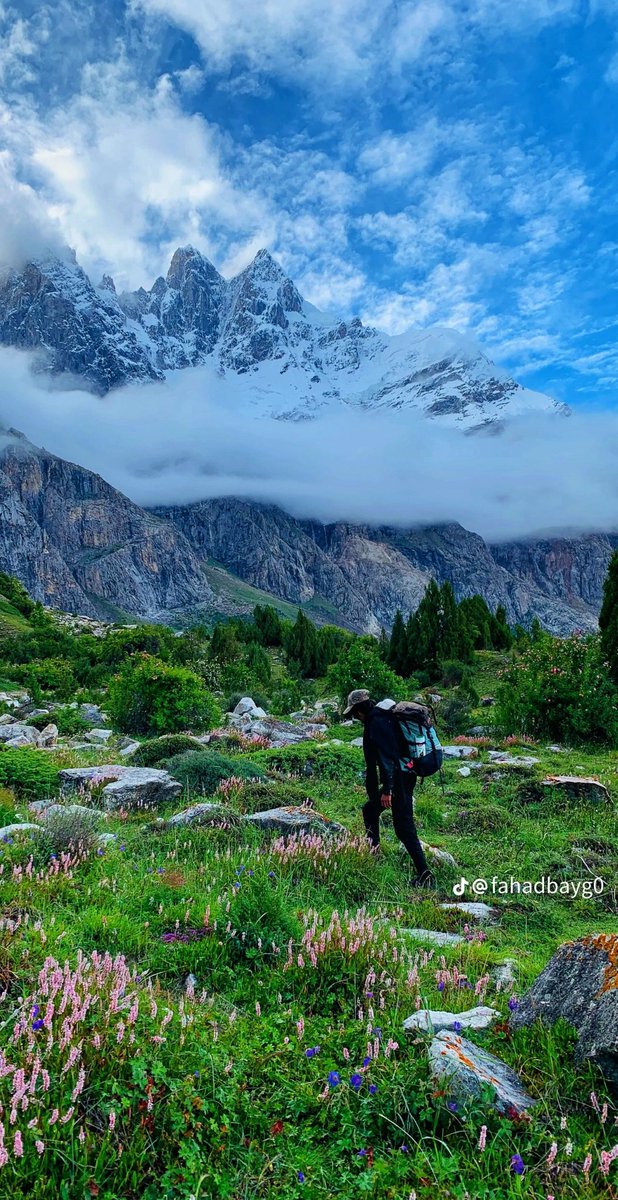 Good morning x creator's

How  are  you  💞💕💝

Wishing you a peaceful day 🧡❤💚