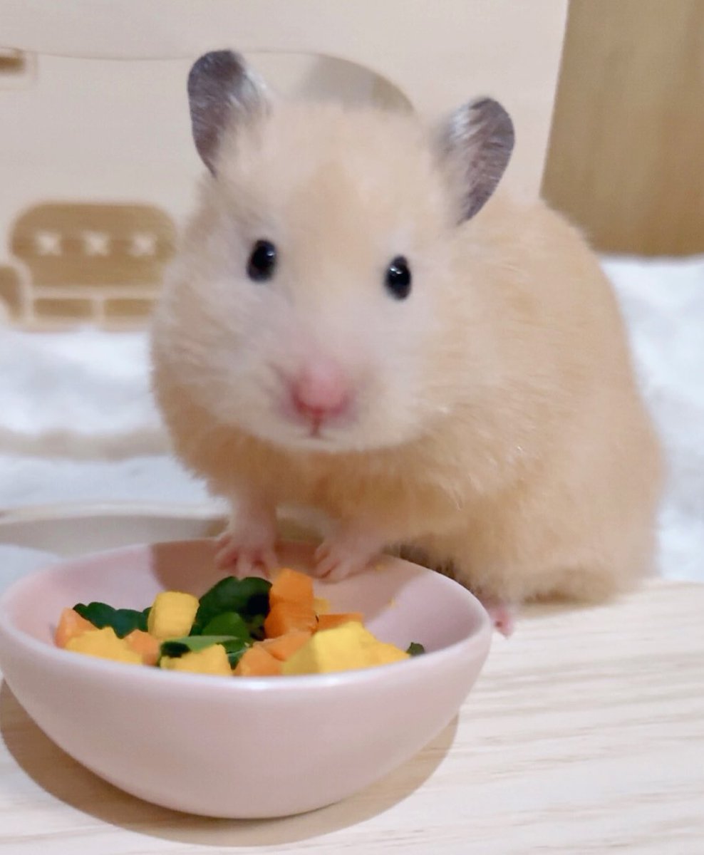 o3o2_sss's tweet image. 
