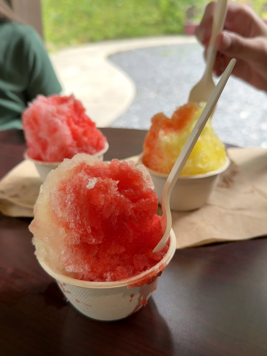 brndsil's tweet image. If you ever find yourself in Spruce Pine you should play mini golf and eat shaved ice at Vic’s Place