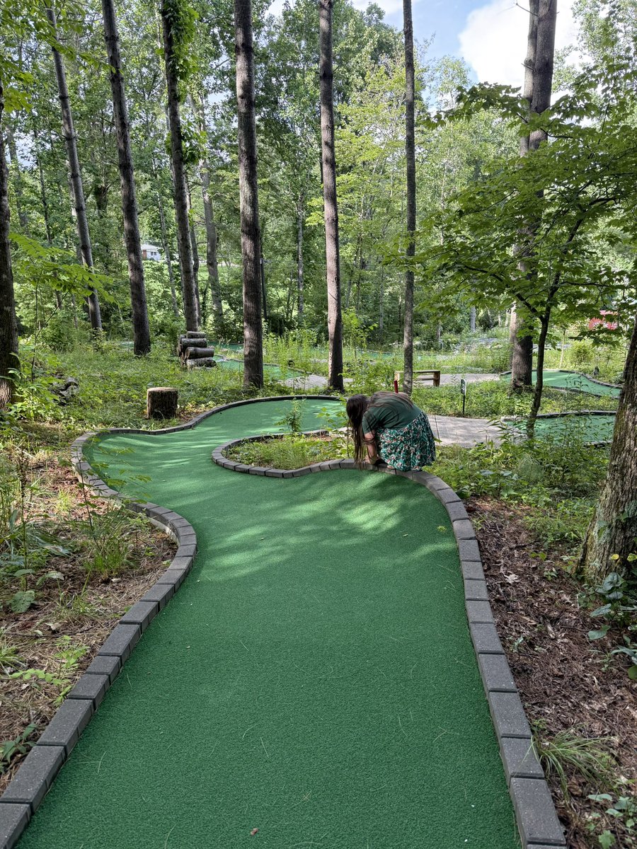 brndsil's tweet image. If you ever find yourself in Spruce Pine you should play mini golf and eat shaved ice at Vic’s Place
