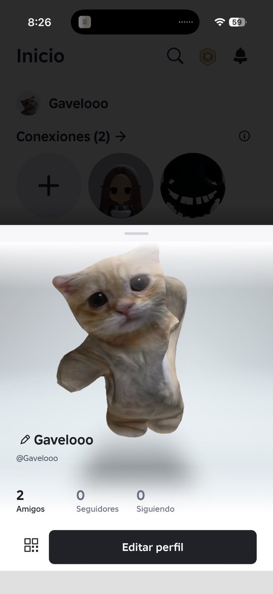 Saquen el roblox cabrones