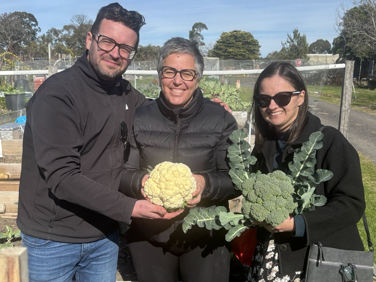 PatFromFTG's tweet image. Harvest time at the community gardens! Nothing like a good morning tea and AGM to get ya going on a Saturday 🥦❤️
@ForLaukens #knox #community