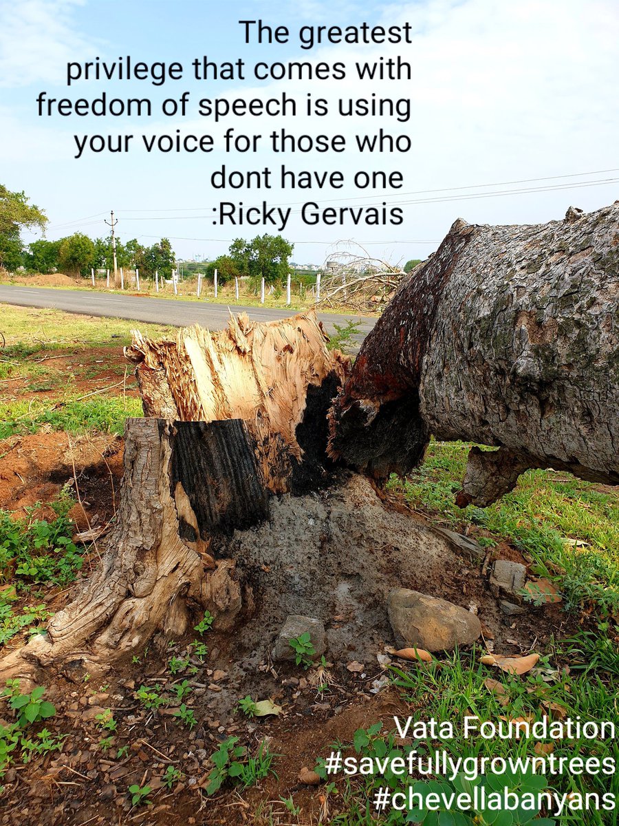 vata_foundation's tweet image. A reminder to self…

#SaveFullyGrownTrees
#TreeHelpline
#SaveChevellaBanyans
#TheBigTreeQuest
