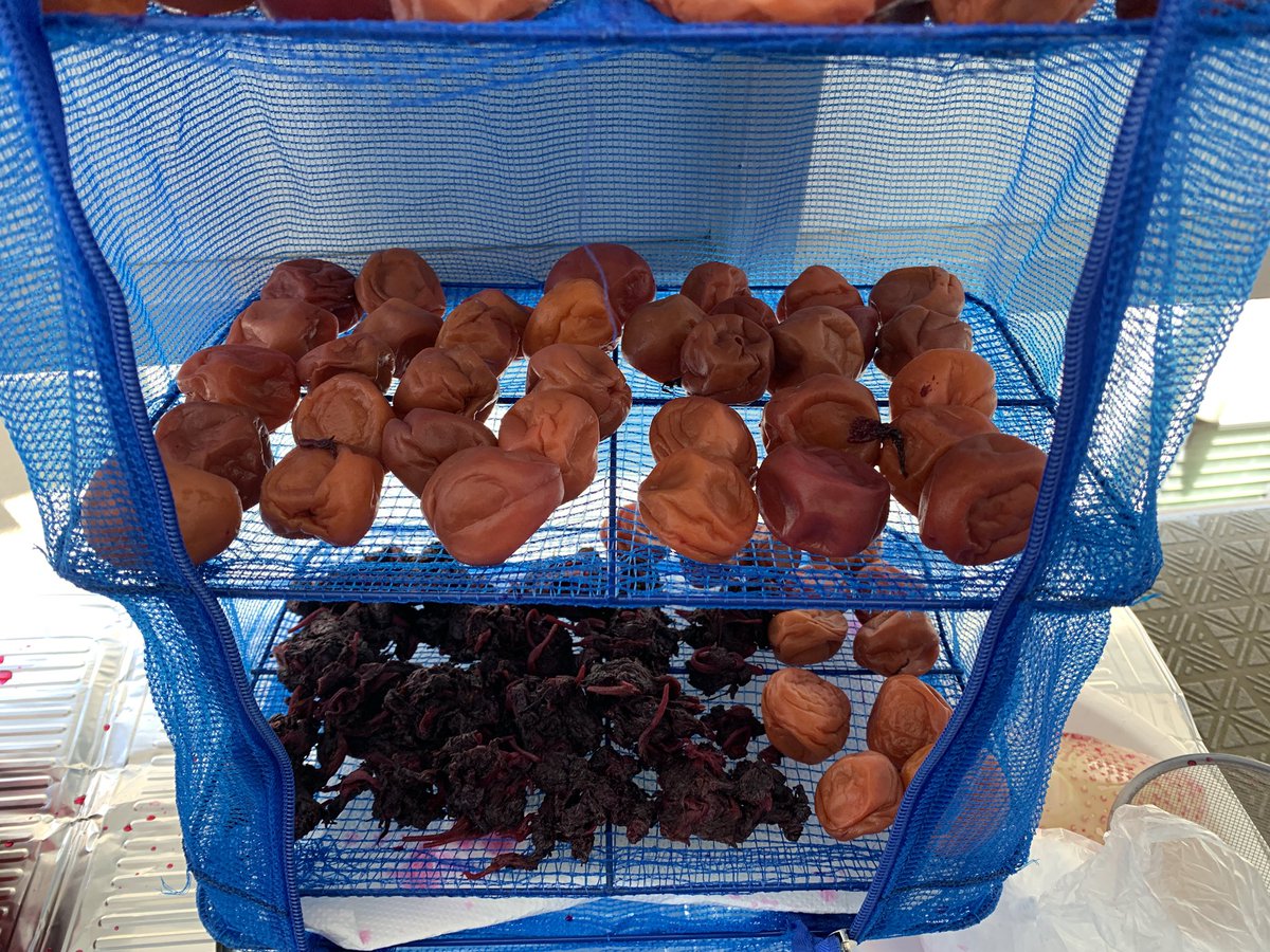 今日から三日間お前が干からびるまで野晒しにしてやるからな