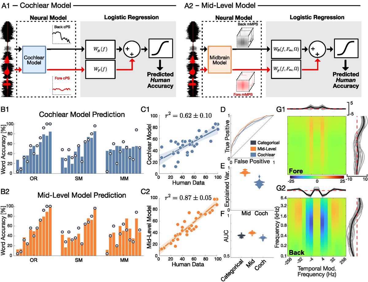 SfNJournals's tweet image. #JNeurosci: Clonan et al. investigated how people detect speech in environments with different background noises occurring at a consistent loudness.
doi.org/10.1523/JNEURO…