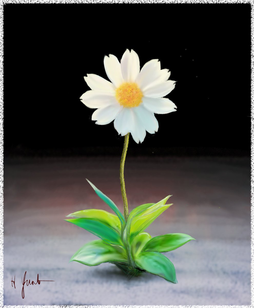 Yash25571056's tweet image. I hope that all flowering plants will survive ongoing climate change.
(with my original illustration)