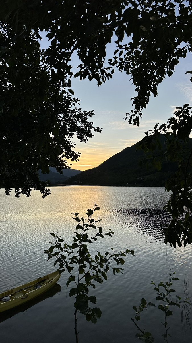 Abdulmajeed Alharbi tweet media