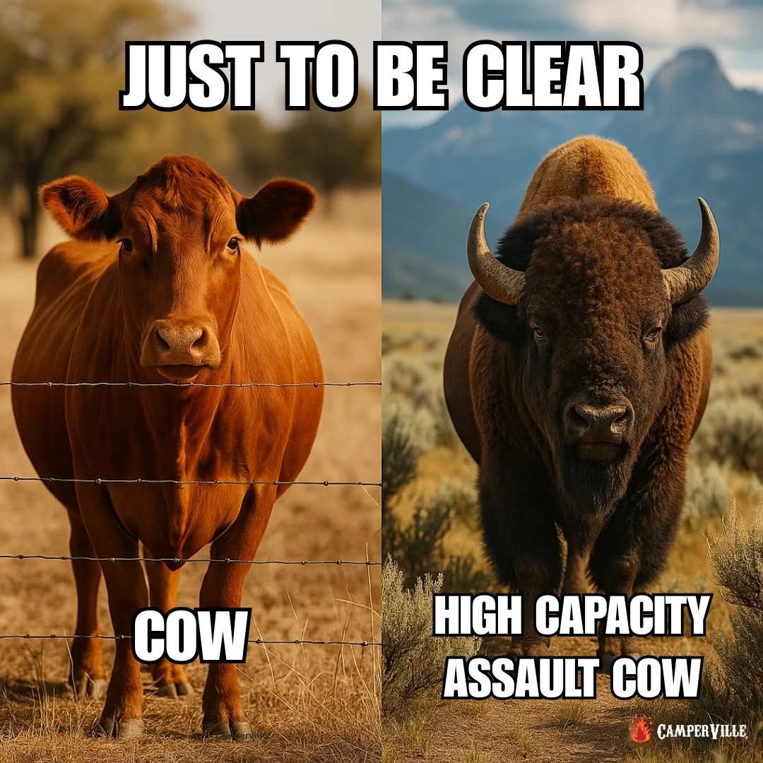 🤣🤣👏👏👏