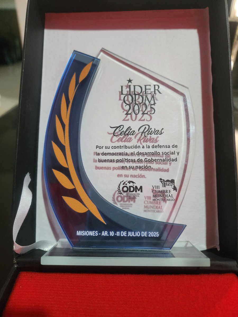 Desde la Sociedad Civil Organizada y como Presidenta de la Asociación Civil Luciérnagas Yucatán; agradezco a todo el gran equipo de Mujeres que forman parte de esta organización.
Por supuesto mi gratitud a  la ODM Organización Democrática Mundial, Por El Desarrollo.