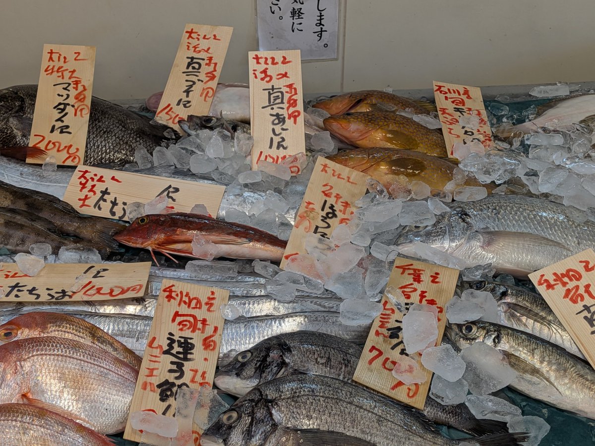 uokeioarai's tweet image. おはようございます、魚結です✨
今日のおすすめでは、宮城産ムラサキウニ一つ600円‼️
生食、焼きウニ蒸しウニ等で大変美味しい旬の貝です🐚
(お電話でのご注文承っております。)
(本日仕入れ都合により11時開店となります。)
よろしくお願い致します🙇
#ムラサキウニ #今が旬 #大洗