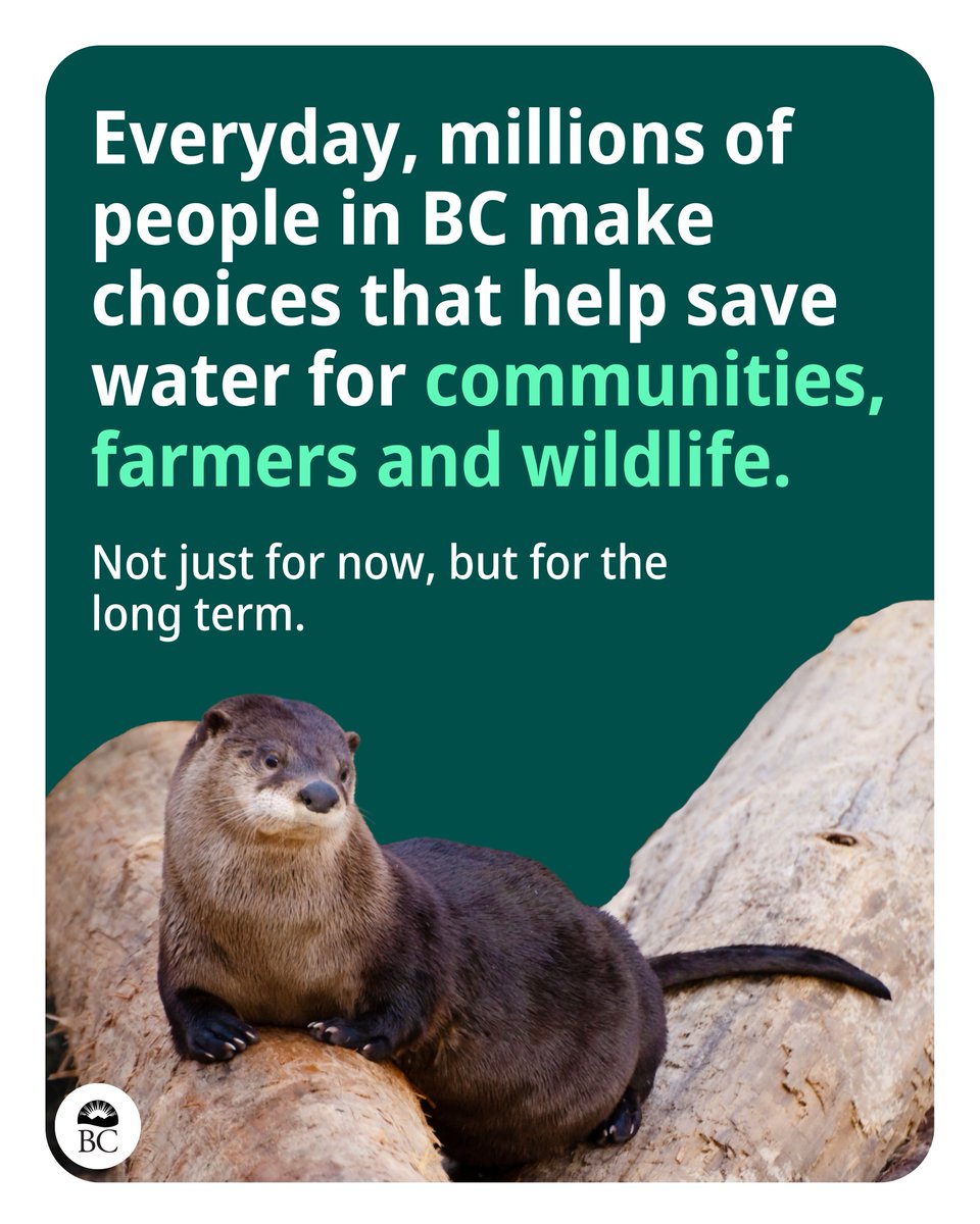 BCGovNews's tweet image. People across BC are making choices every day to reduce water use. Whether it's fixing a leaky tap, only watering your veggies in the evening, or leaving your car dirty this summer, your actions make a difference. Let's keep doing what works! Gov.bc.ca/Drought