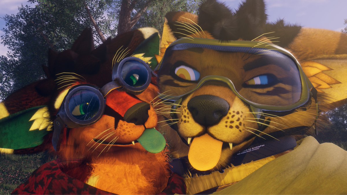 ArchieFox_'s tweet image. My big gremlin 🥰
@Matte_Wolf  🧡🧡🧡