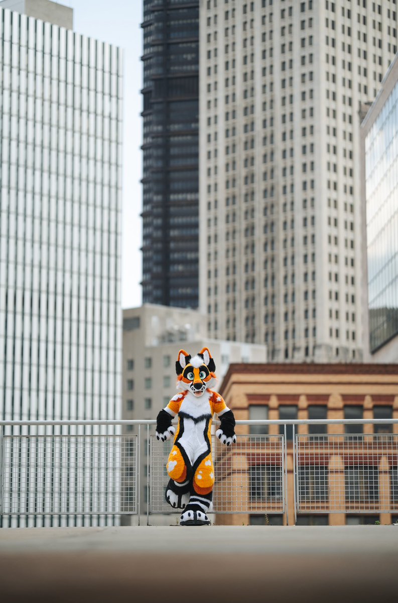 Skyfops's tweet image. Smol Fox in a big city! 🏙️ 🦊❗️
🪡: @thephoenixnest_
📸: @_CrowCreations_
#FursuitFriday