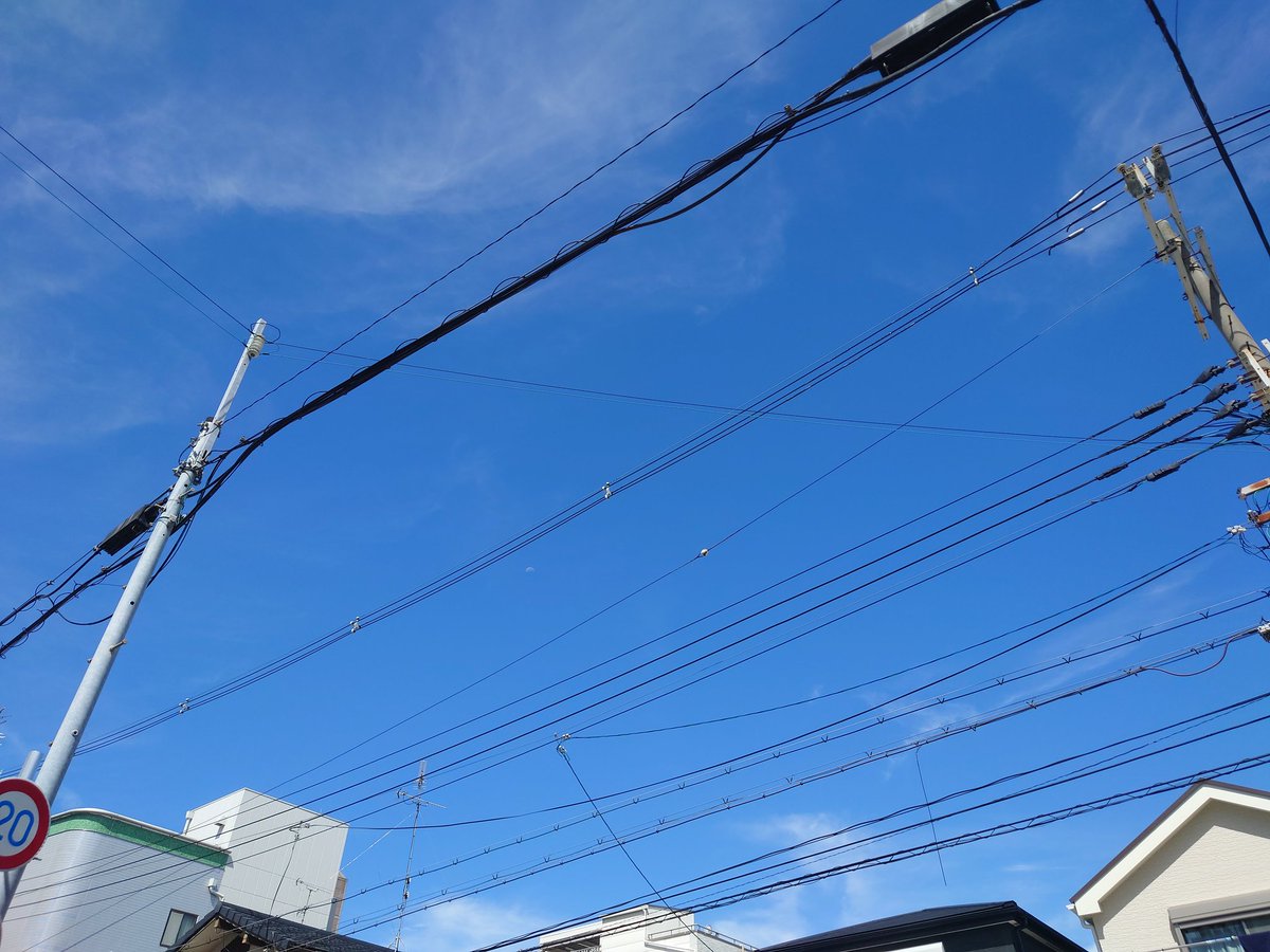 見えにくいけど

薄っすら月が出てる🌗

おはようございます🌞