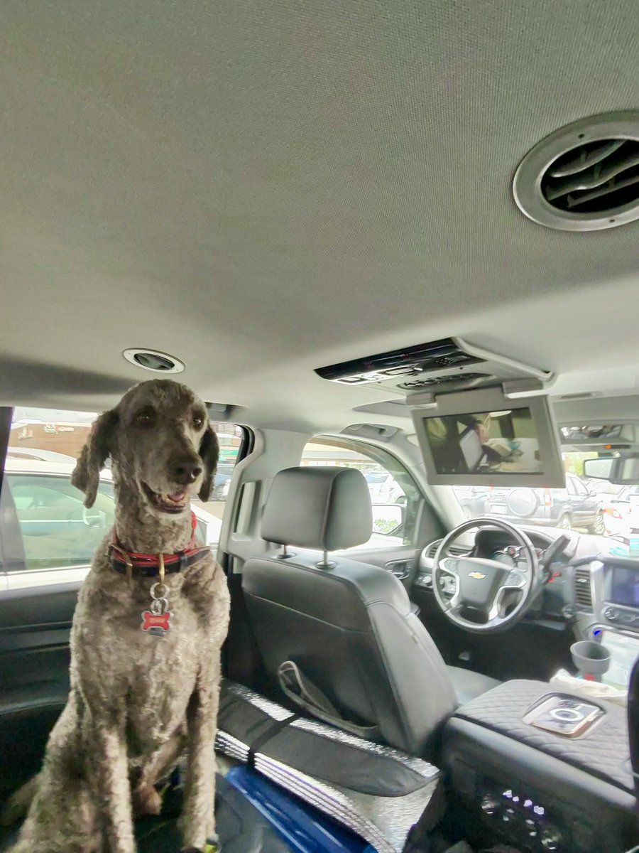 Ryan_the_Spoo's tweet image. While waiting in the parking lot. We decided to watch some shows. It made it a fun wait for sure. #spoo #spooinatruck